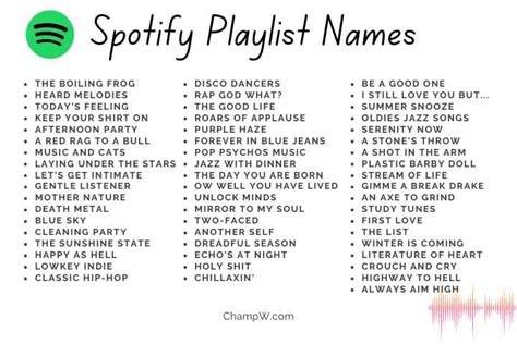 spotify playlist name ideas|clever spotify playlist names.